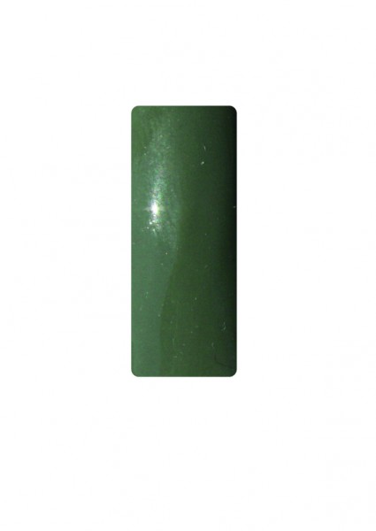 Color Gel Army Green 5 gr.
