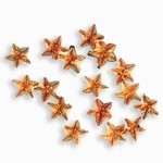 Sparkling Nail Stars gold 50 Stück